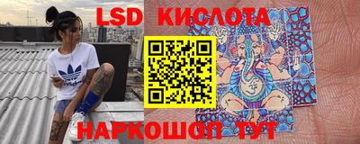 прущие крисы Гатчина
