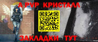 прущие крисы Гатчина