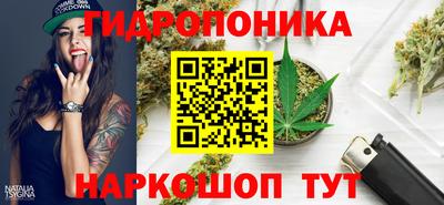 mdma Гай
