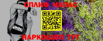 спайс Гагарин