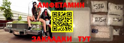 прущие крисы Гатчина